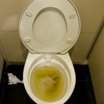 Verstopftes WC